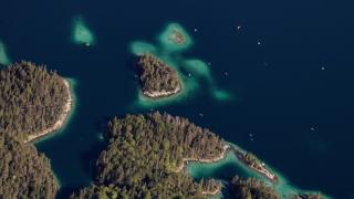 Смъртоносни водорасли нападнаха френски плажове