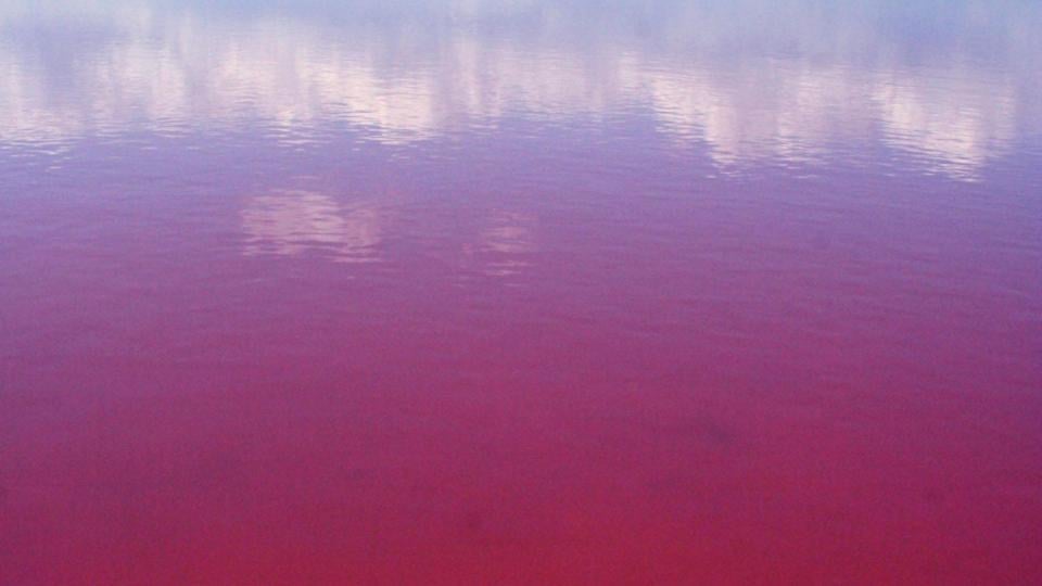 „Българското Червено море“ – най-голямото безплатно СПА на открито у нас СНИМКИ