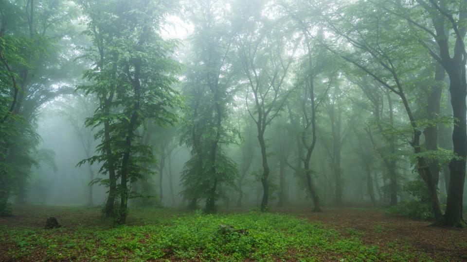 Хоя-Бачу – румънският Бермудски триъгълник