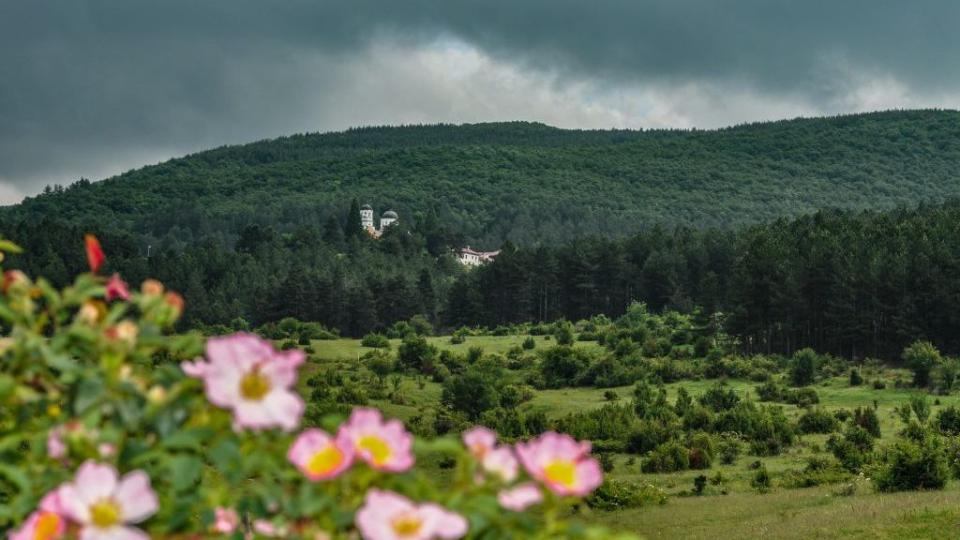 Вижте Кремиковци! Това не е само изоставен металургичен гиганг