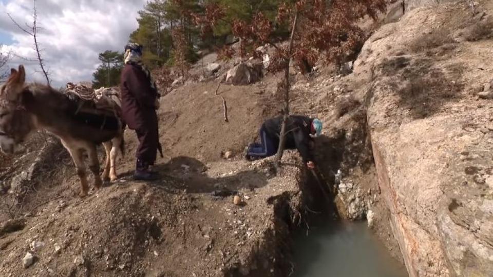 Черното злато на село Кушла, до което всички искат да се докоснат ВИДЕО