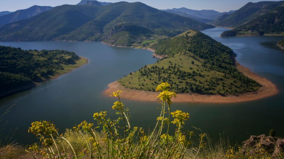 Колко български градове са разположени на река Арда