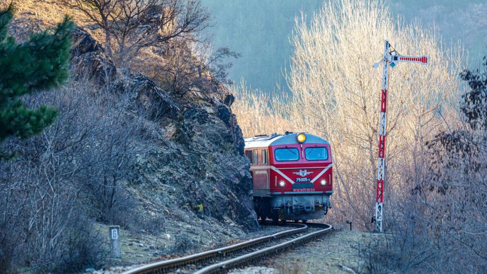 Родопската теснолинейка - всички я обичат, но печалба не носи