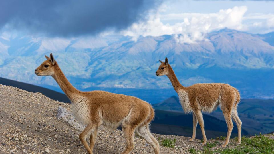 Върхът в Южна Америка, който е по-висок от Еверест