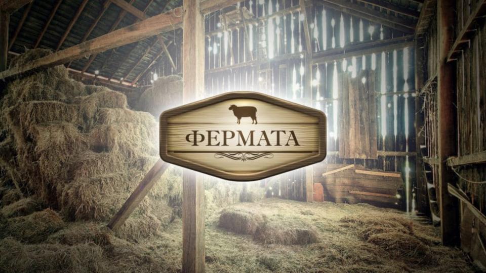 Мис България ще рине обора във "Фермата" СНИМКИ