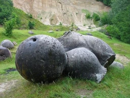 Изумително! Живите камъни съществуват – наричат се трованти и могат да бъдат разгледани само през една граница разстояние (СНИМКИ)