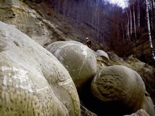 Изумително! Живите камъни съществуват – наричат се трованти и могат да бъдат разгледани само през една граница разстояние (СНИМКИ)