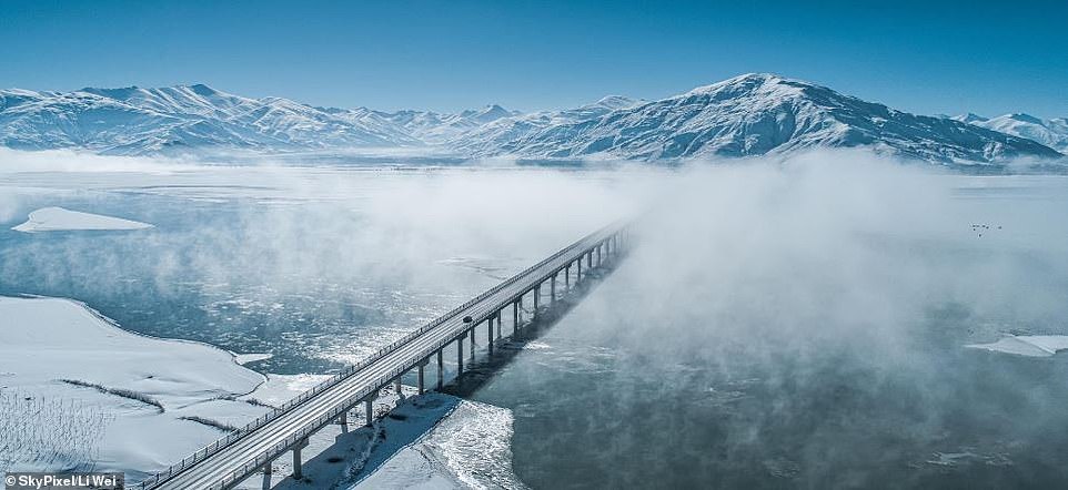 Тези изумителни СНИМКИ – победители в престижен конкурс за фотография, ще ви оставят без дъх