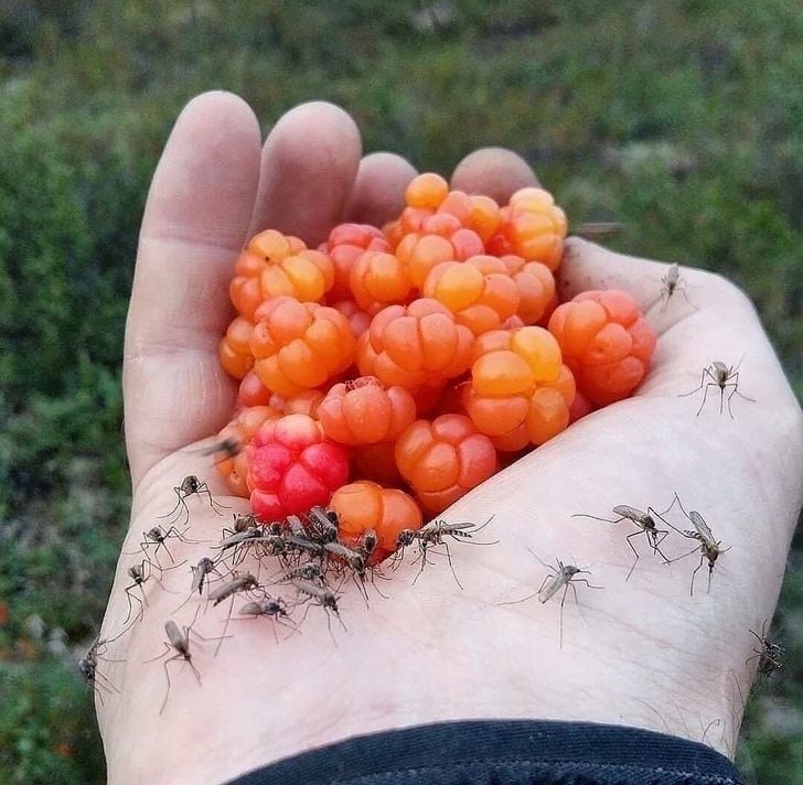 Уникални СНИМКИ разкриват как се живее в Далечния Север