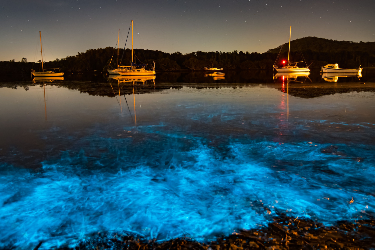 Фотографи нагазиха във водите на отдалечен остров и видяха нещо поразително ВИДЕО