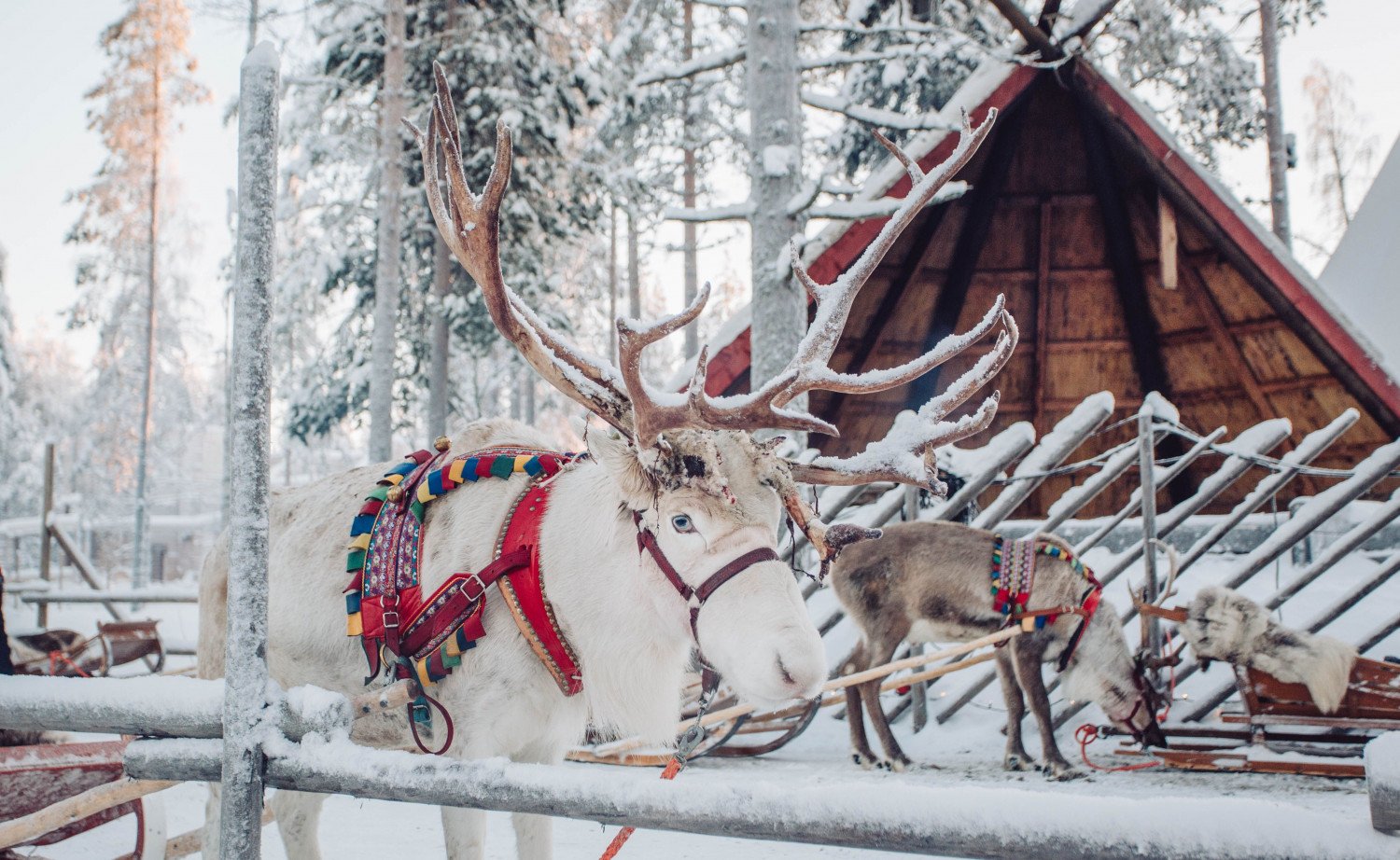 Селото на Дядо Коледа - магнит за туристи