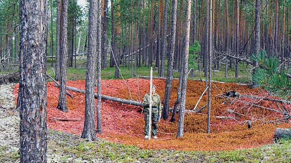 Най-старата известна крепост в света е в Сибир и смайва учените