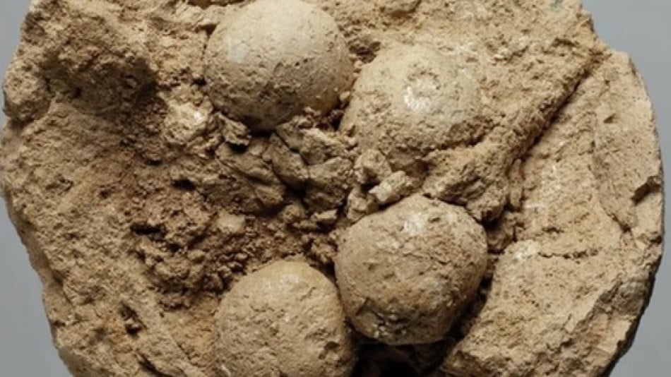 Археолози откриха тайнствено послание, което може да промени историята