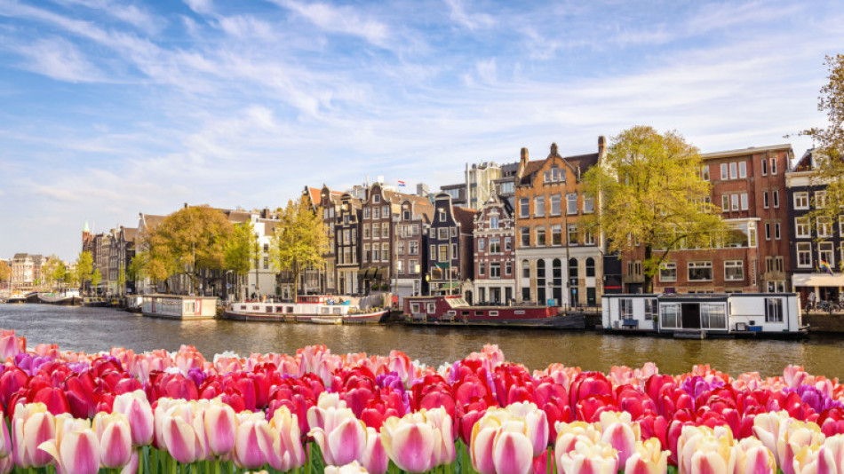 Холандия обяви война на... туристите, тъпчещи лалетата им