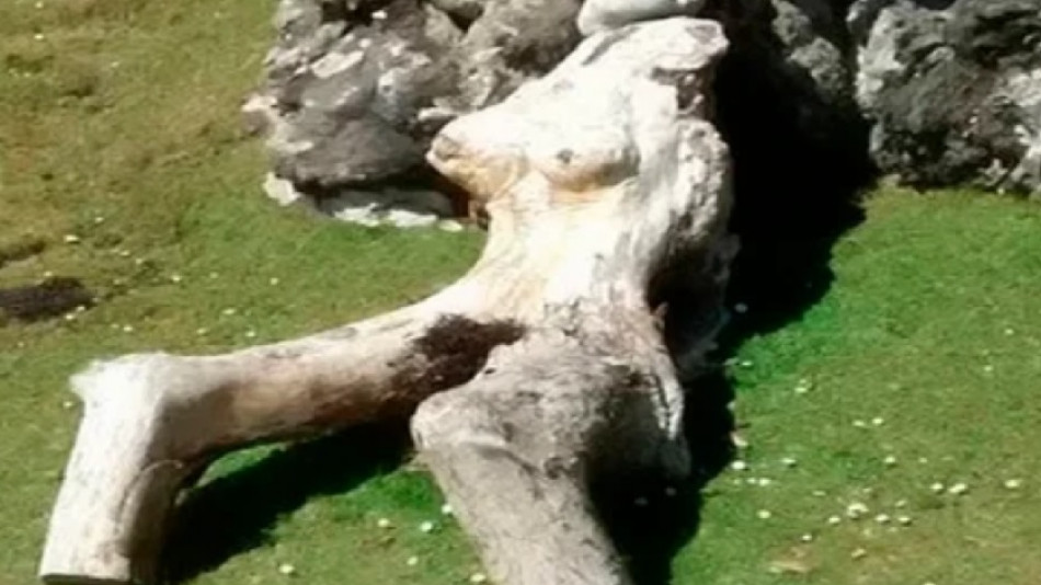 Дървена "гола жена" направи от неизвестен остров туристическа атракция