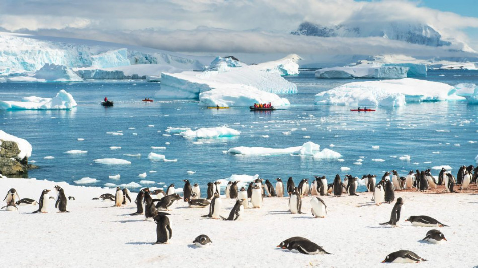 Гражданство в Антарктида. Получава се трудно, но пътувате безвизово в над 100 държави