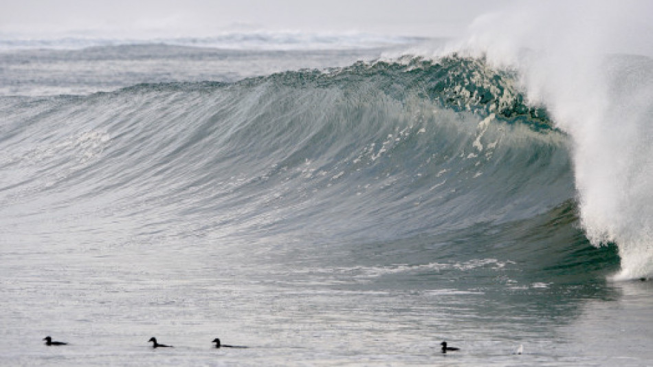 Огромни вълни се появяват изневиделица и убиват хората на плажа
