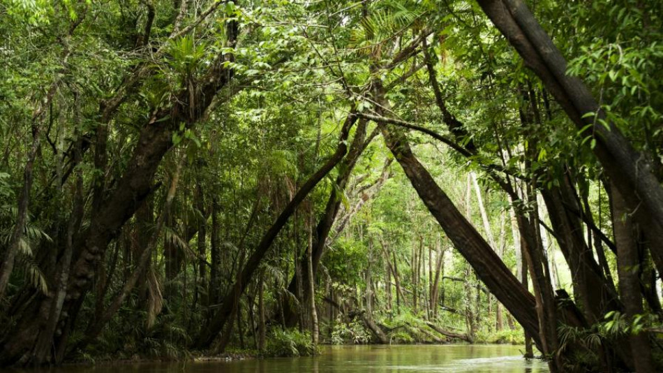Най-ужасващата и страшна река се намира в Амазония