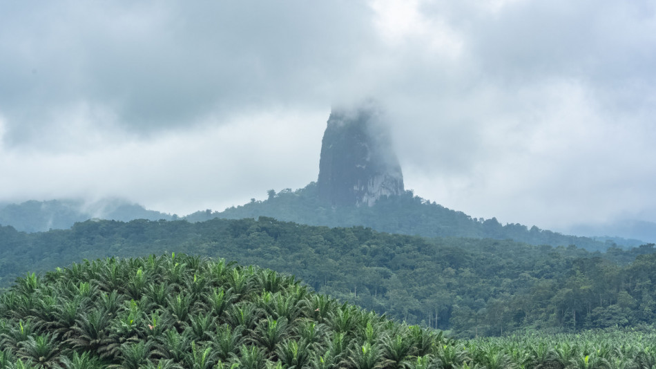 Изумителната скала-игла, стръчаща над красива, но смъртоносна джунгла
