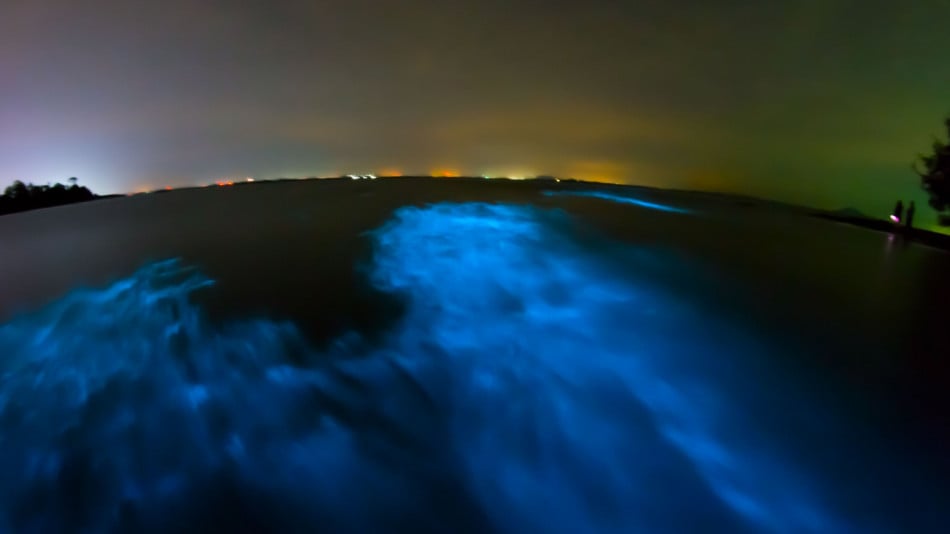 Загадъчното сияние в морето, което се появява само нощем край няколко залива ВИДЕО