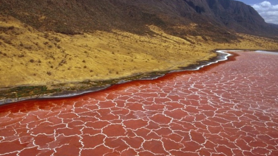 Езерото Натрон е едно от най-горещите и солени на Земята