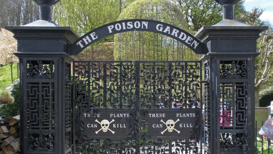 Градина с отровни растения привлича туристи в Англия