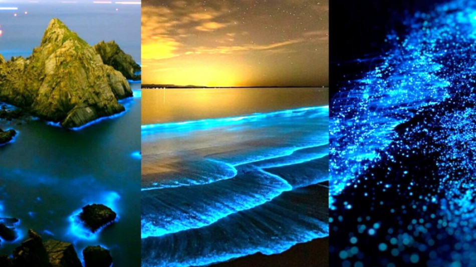 Плуване сред звездите - заради „бляскавото“ море на Малдивите, отново ще повярвате в магията