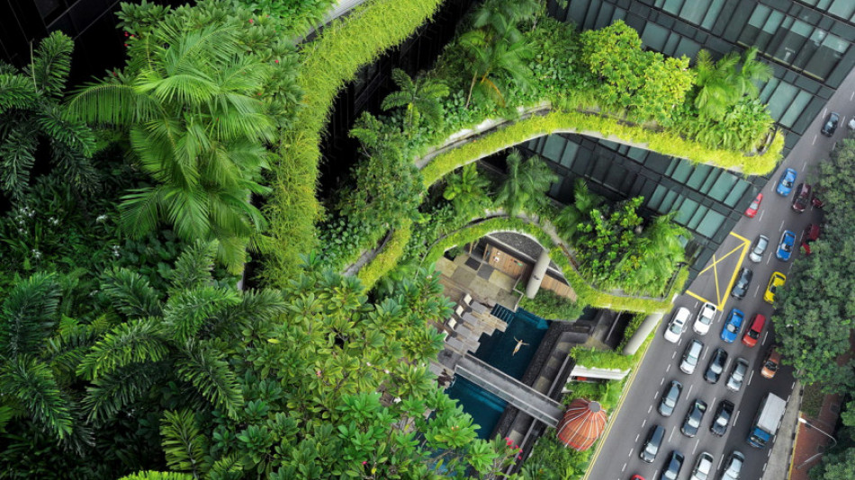 Най-зелени в света: 5 модерни града, които живеят в хармония с природата