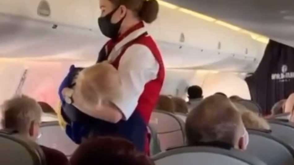 Стюардеса разтърси мрежата с това, което направи на бебе в самолет