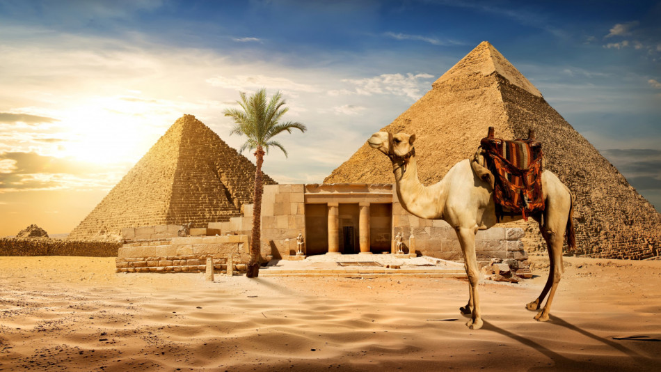 Безценни съвети какво да не ядем в Египет