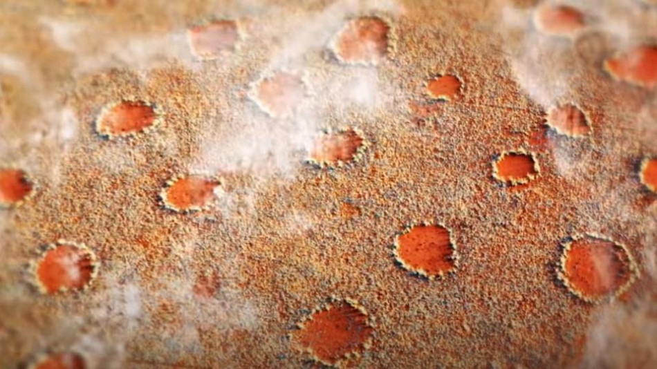 Вещерските кръгове и други загадки на древната пустиня Намиб СНИМКИ