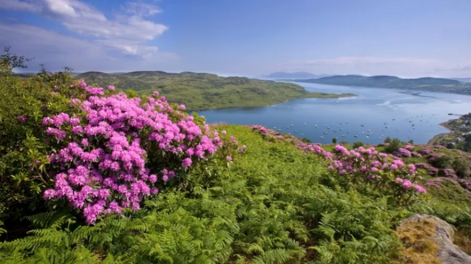 Шотландският остров Буте, който ще ви изуми с историята и красотата си СНИМКИ