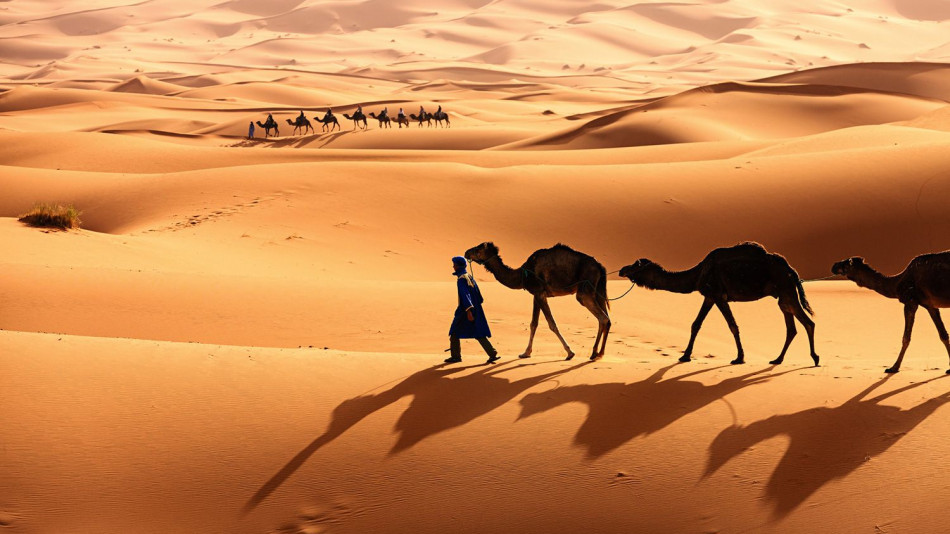 Какво се крие под пясъците на Сахара