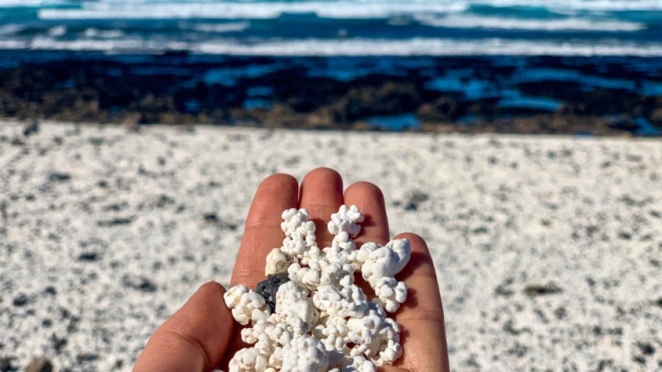 Плажът-пуканка, който е покрит с 4000-годишни корали СНИМКИ