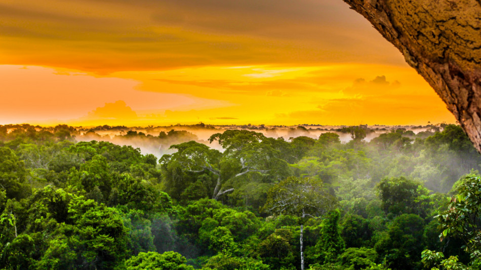 Учени газиха две седмици дълбоко в Амазонската джунгла и откриха 88-метрово чудо СНИМКИ