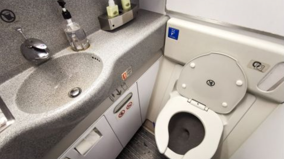 Стюардеса показа начин за отваряне на тоалетната в самолета и зарадва абонатите
