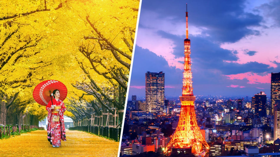 Отивате ли в Япония? Ето някои истински и неверни факти за тази страна