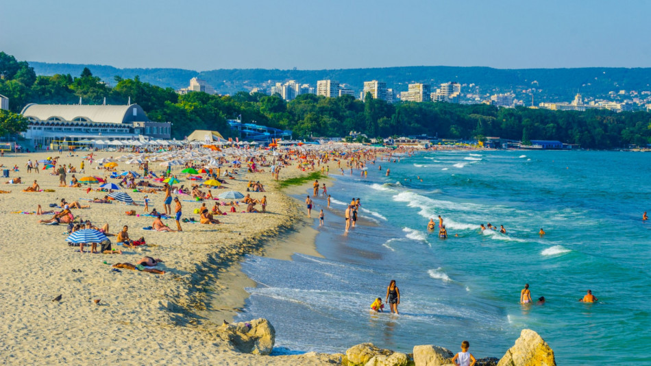 Български водолази заснеха най-отровното същество в Черно море ВИДЕО