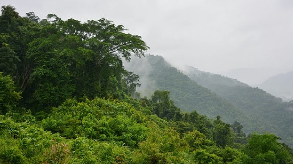 Какво преживя турист, изгубил се в тайландска джунгла