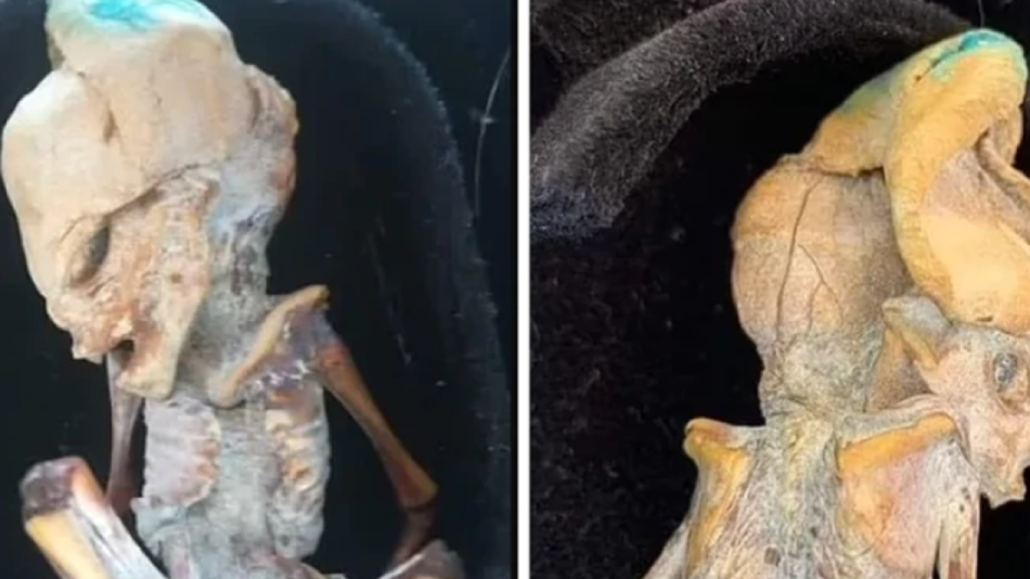 Откриха зловеща малка мумия в Колумбия, ще ви накара да настръхнете!