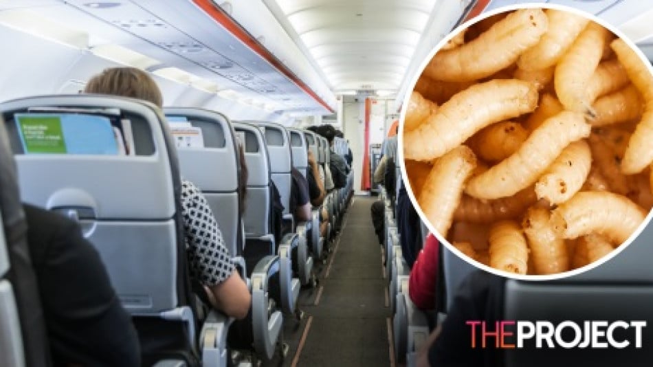 Пътник на самолет откри ларва в храната си по време на полет